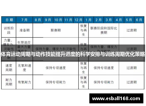 体育运动周期与动作技能提升进度的科学安排与训练周期优化策略
